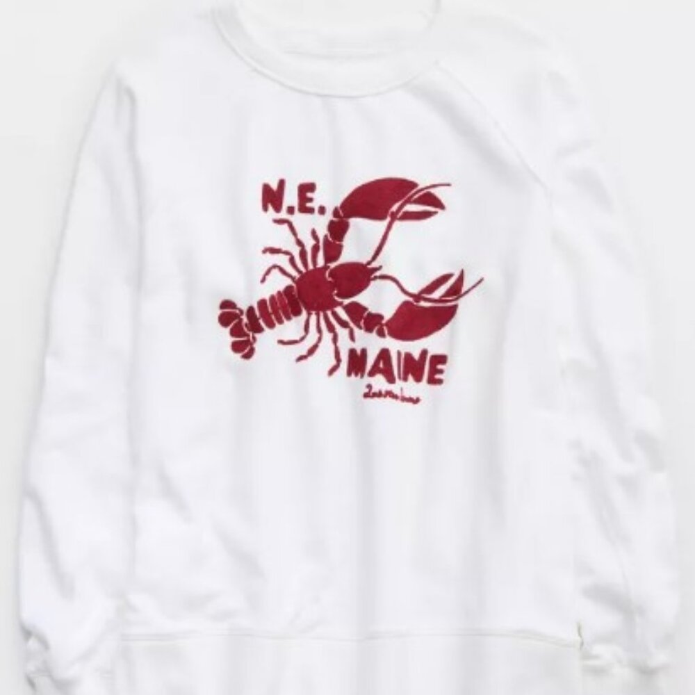 NWT Aerie East West Crew Sweatshirt